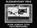 Rudimentary Peni - Pogo Pope