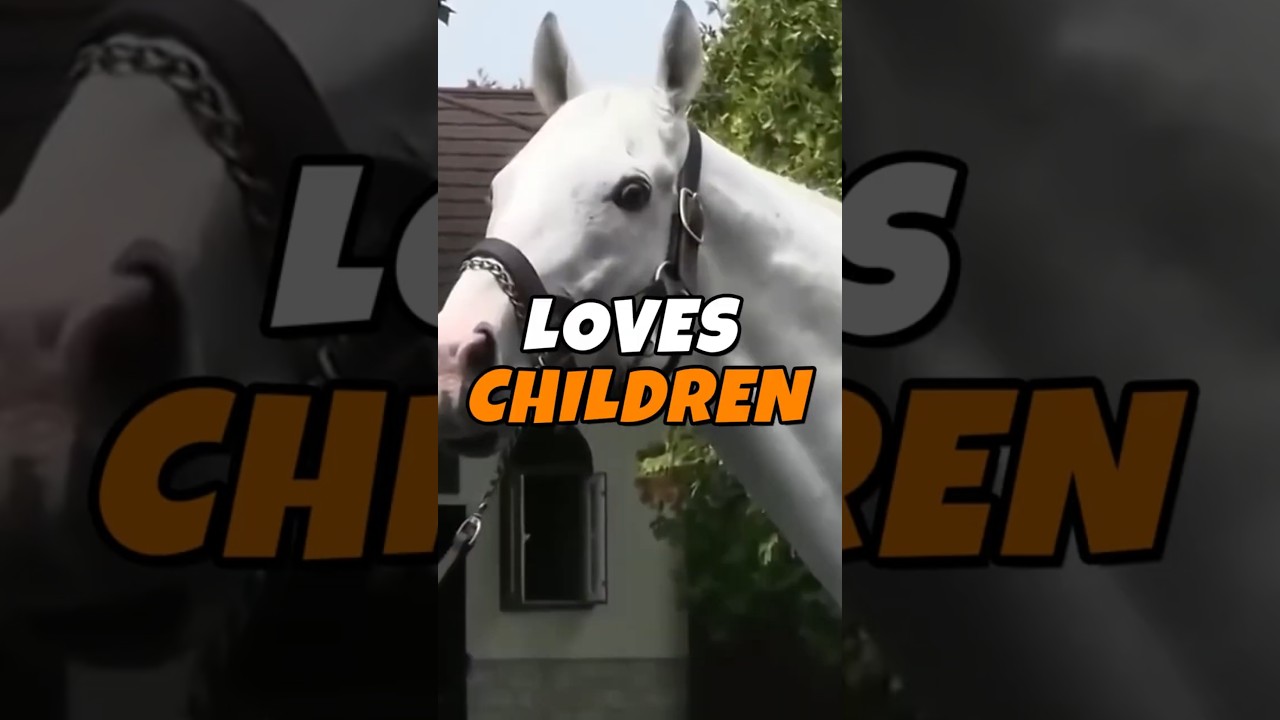 Gold Ship Loves Kids… For A Reason