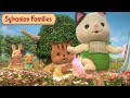 Playing under the Sun! ☀️🌼 Sylvanian Families