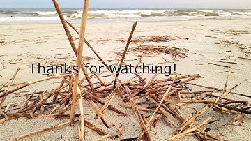 Metal Detecting Beaches and Wet Sand With The XP Deus