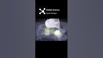 Amazing Liquid Nitrogen Experiments – Science in Action!