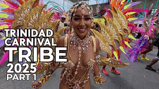 (取引中)ゴメチュ2 TRINIDAD 91jUFTfSaCL._UF1000,1000_QL80_.jpg