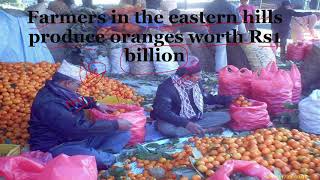 Orange in Nepal |  current affairs | kathmandu post | loksewa tayari | Suntula