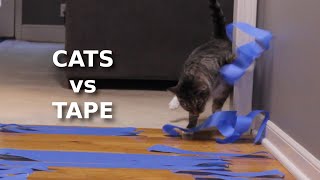 CAT vs TAPE  Cataloupe