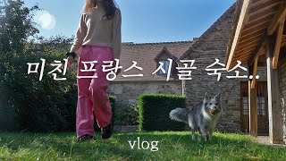 A day in a fairytale French country house_A trip to Europe with a dog (4)