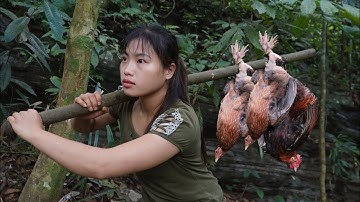 Discovered Wild Chicken Tracks, Set a Trap to Catch It in the Deep Forest, survival alone