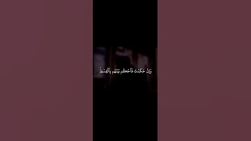 قرائت قرآن | سوره مائده (5:42-44) | قاری لیبیایی #قرآن #کوتاه
