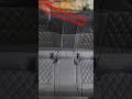 Tata Punch Premium Seat Covers Installation | Best Interior Modification | AS Car Decor Live