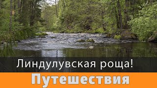 Крутейшее место для прогулок пешком в Лен. области!