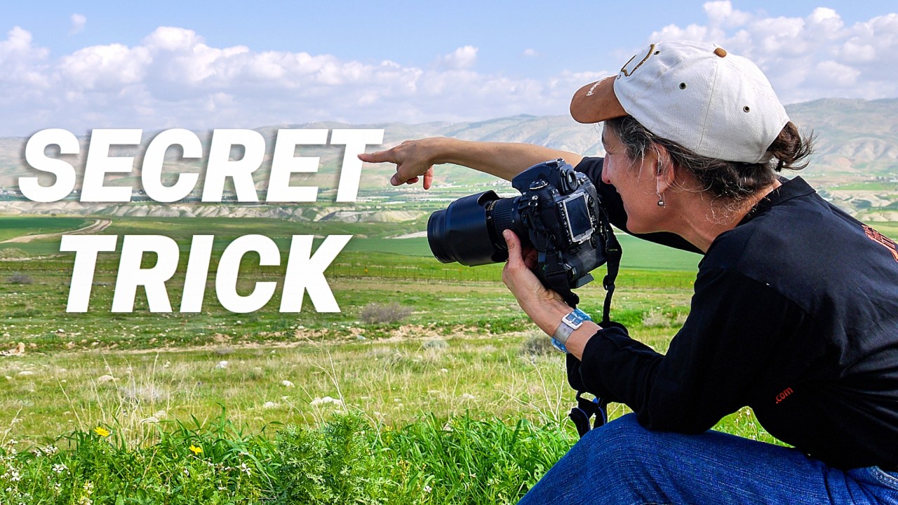 Why Empty Space Makes Your Photos Stronger