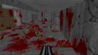 Fraps Test 2: BRUTAL DOOM