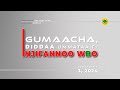 Gumaacha diddaa umataa fi injifannoo wbo