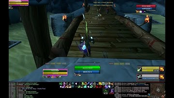 Rogue Druid vs Spriest Rogue