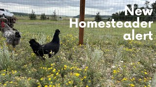 Introducing our new homestead in Colorado | Just getting started