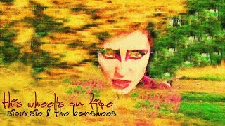 Siouxsie and the Banshees - This Wheel&#39;s On Fire