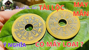 Đồng xu phong thuỷ có ý nghĩa gì? Có mấy loại. | Nhà Sàn Tây Nguyên