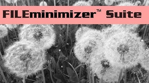 Datei optiemierung - FILEminimizer Suite