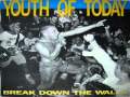 Youth Of Today - Free At Last