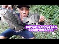 tes ketapel ikan lagi lumayan dapat gede2