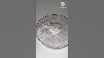 Reaction Of Sulfuric Acid And Sodium Bicarbonate