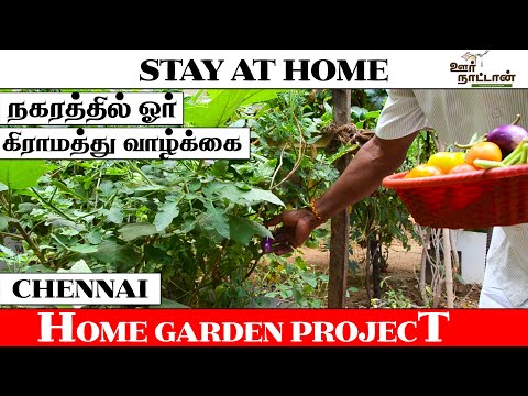 வீட்டு காய்கறி மூலிகை தோட்டம் | Home garden | Oor Naattan