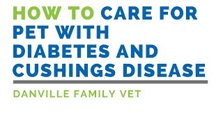 How To Care for Pet with Diabetes and Cushings Disease