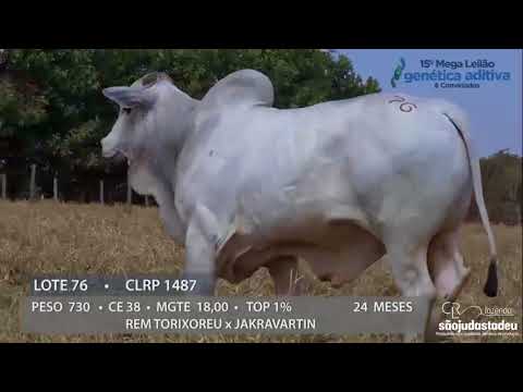 Lote 76 - LAGOSTE DA CLR