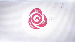 Ankara Oto Kılıf - Ankara Tavan Sarkık Tamiri - Ankara Sigara Yanık Tamiri