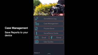 P.I. Report (Version 3) Guide