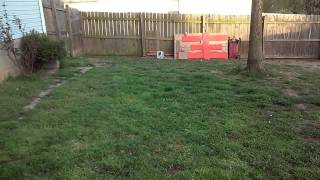 Echo 1 cpw full metal ak-47 review/shooting test