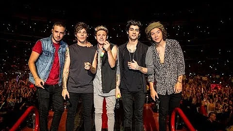 You & I - One Direction Where We Are 2014 at San Siro