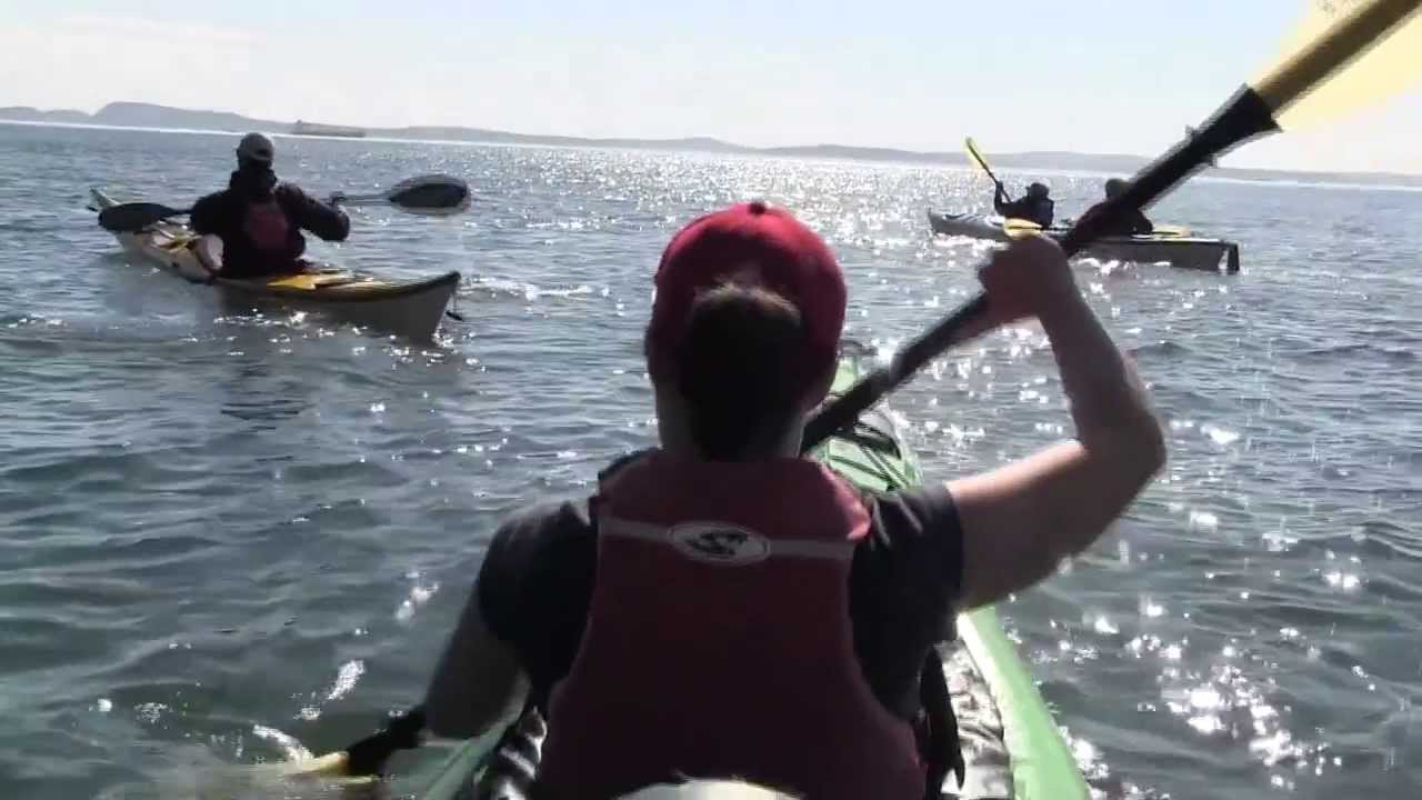 Anacortes Kayak Tours, San Juan Islands Washington YouTube