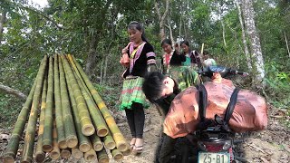 Peb Mus Khawb Ntsuag Dub Ib Hnub Kiag Lom Zem Kawg 3 Hli , 20, 2020