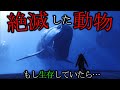 絶滅してなかったら人類終わってた動物がヤバすぎる