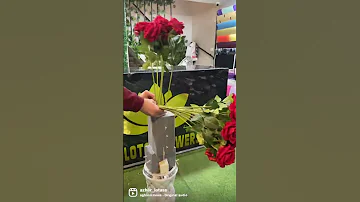 افخم ضمة ورد جورى ازهار اللوتس غزة الرمال المخللاتى المخللاتى ورد المخللاتى زهور اللوتس 