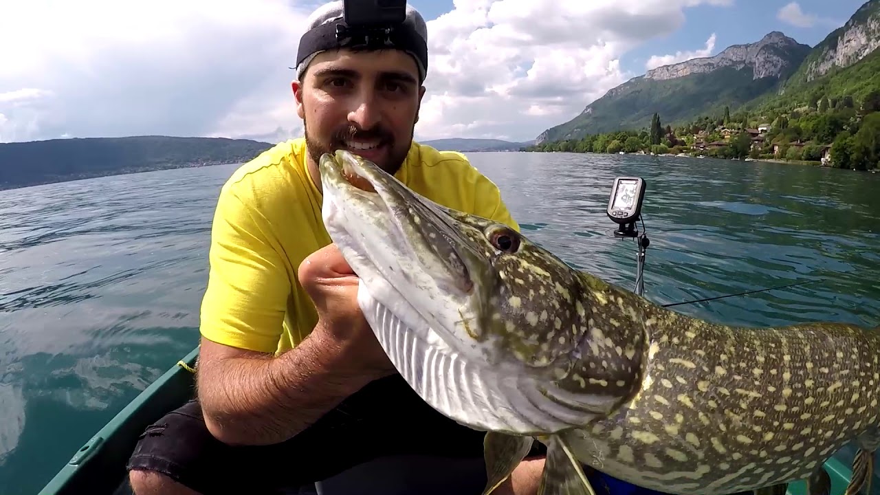 BROCHET GEANT lac d'ANNECY YouTube