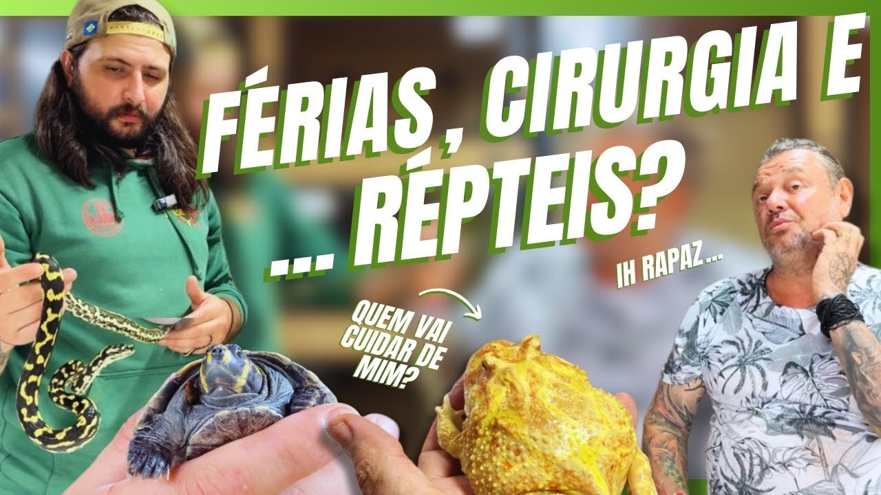 VOU DAR FÉRIAS PARA TODO MUNDO E VOU CUIDAR DAS SERPENTES SOZINHO! | A CASA DOS BICHOS