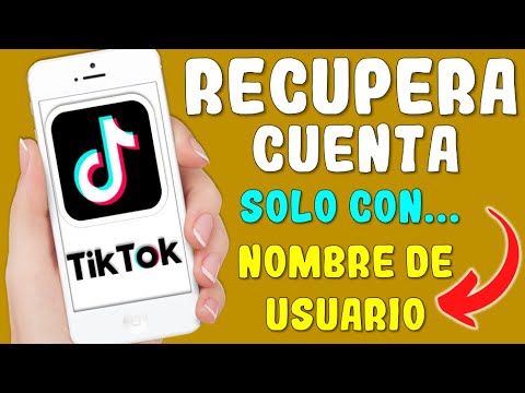 COMO RECUPERAR MI