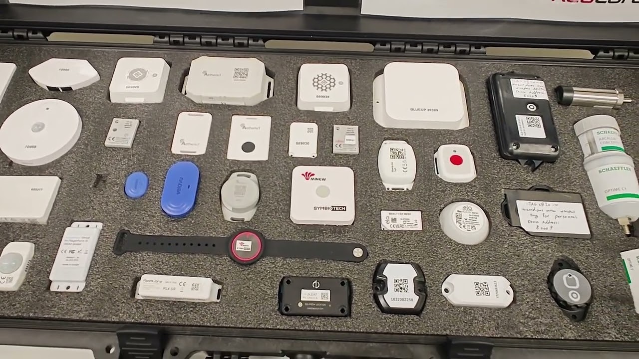 Wirepas Mesh 2.4 GHz wireless network interoperability demo