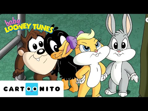 Library Adventure 📚 | Baby Looney Tunes | Cartoonito