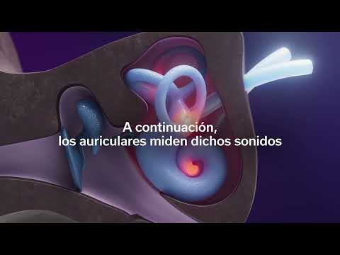 Denon PerL y PerL Pro, los auriculares in-ear con sonido con personalización "médica" llegan a España Denon PerL - Como funciona la tecnología Masimo ATT