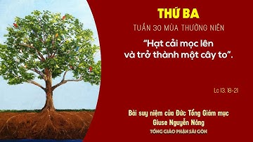 Suy niệm Tin mừng ngày 27-10-2020: thứ Ba tuần 30 mùa Thường niên - ĐTGM Giuse Nguyễn Năng