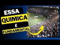 Sensacional! O Vasco e sua incrível torcida, ingressos para Vasco x Grêmio estão esgotados;