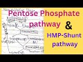 Non Oxidative phase of Pentose Phosphate Pathway | HMP-Shunt pathway