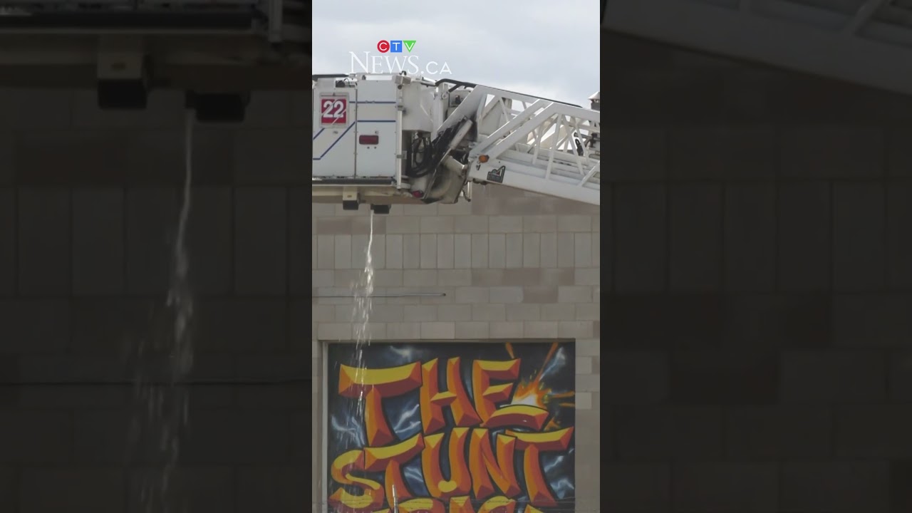 'I just kind of collapsed into tears': business owner