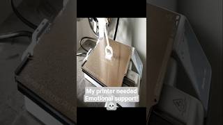 My printer needed Emotional support 💀