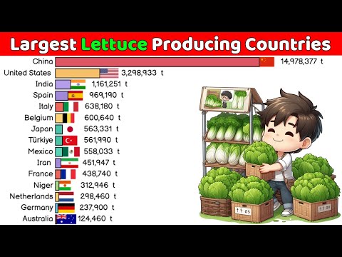 Which Country Is The Largest Producer Of Lettuce In The World In 2025