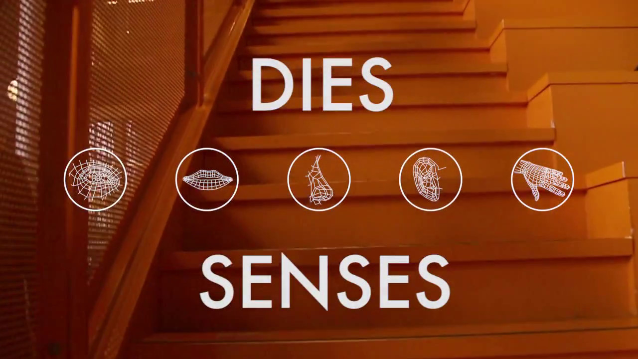 123 - Dies | Senses