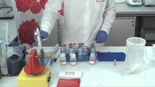 pluriSelect Video Tutorial   Cell Separation from whole blood