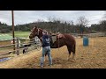 Sandy smyth training dakota groundwork